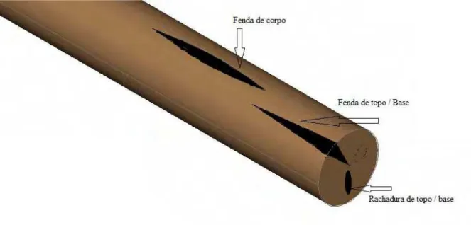 Figura 5. Rachadura de topo e base, fenda de topo e base e fenda de corpo segundo norma  ABNT – NBR 9480 (2009)