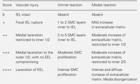 Table 1 - Semiquantitative scoring system for histological analysis of vascular injury and reaction.