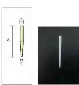 FIGURA 5: Pino de fibra de vidro utilizado e suas dimensões A=20mm 