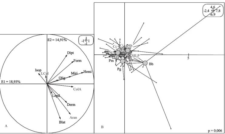 Figura 1. Círculo de correlações entre os grupos da macrofauna (A) e diagrama de ordenação das amostras, em função das plantas de cobertura (B)