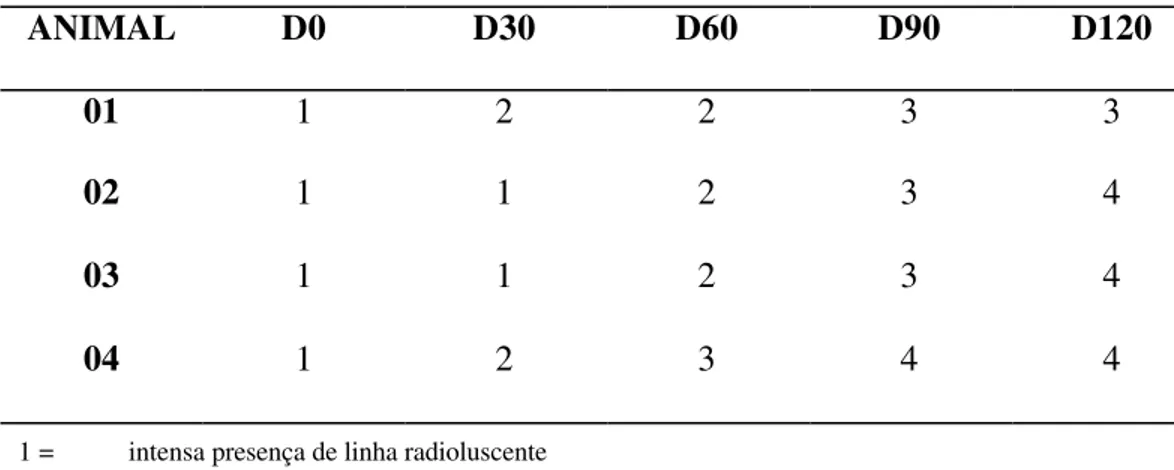Tabela 1.  Escore de reparação da linha de fratura  do osso sesamóide proximal  lateral submetido à osteossíntese  de cada animal do grupo GI à análise  radiográfica em variados dias após a cirurgia (D0, D30, D60, D90 e  D120)