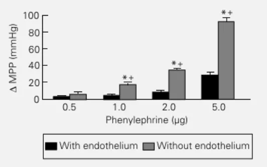 Figure 3 - Effects of increasing doses of phenylephrine (PE) on the increase in mean perfusion pressure (MPP) of the rat tail vascular bed before and after endothelial damage with air and CHAPS buffer
