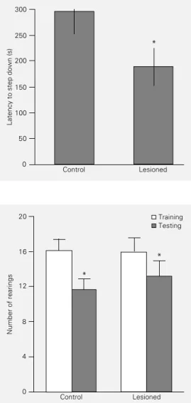 Figure 6 - Effect of a post-train- post-train-ing lesion of the entorhinal  cor-tex on performance in a  step-down inhibitory avoidance task.