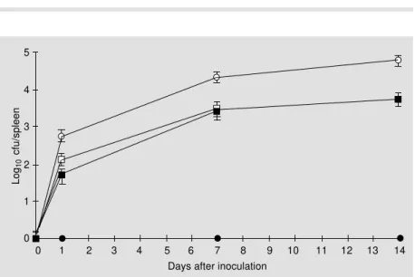 Table 1 - Evaluation of pCFA-1 stability in HG3 cells grown under inducing conditions.