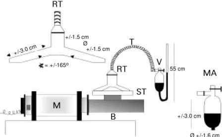 Figure 1 - Device for the measurement of oxygen evolution. The reaction test tube (RT) is held by a support (ST), connected to the stirrer motor (M ) through a steel bar (B)