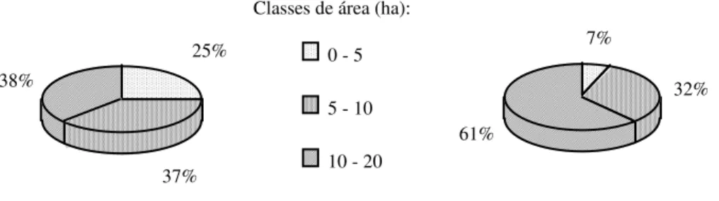 Figura 2 - Distribuição do número de explorações e SAU segundo as classes de área (%) 