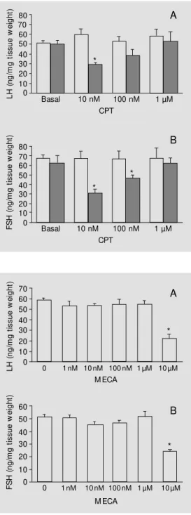 Figure 3 - Effects of administra- administra-tion of different M ECA  concen-trations on basal LH (A) and FSH (B) secretion