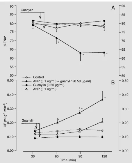 Figure 1 - Diuresis (panel A) and natriuresis (panel B) promoted by guanylin in atrial natriuretic peptide (ANP)-pretreated kidneys