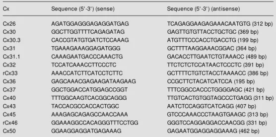 Table 3 - Connexin-specific primers routinely used to verify the expression of connexins expressed in mice (* except Cx33 and Cx46).