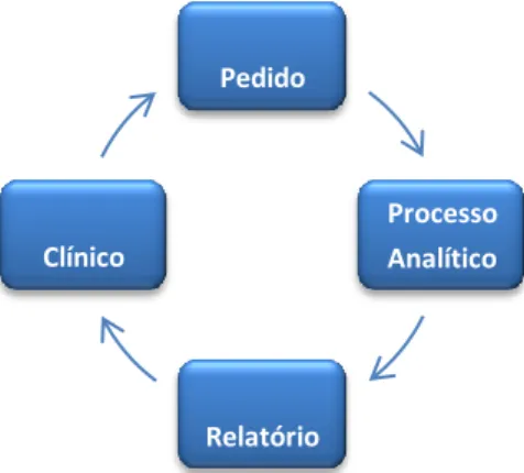 Figura 10 – Ciclo Analítico 
