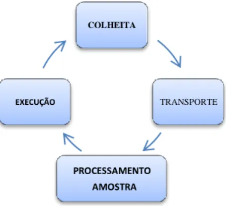 Figura 11 – Fase Pré analítica e analítica 