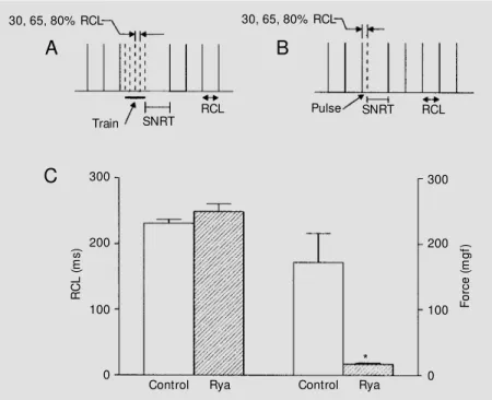 Figure 1 - Stimulation protocols for the determination of sinus node recovery time (SNRT) in isolated rat right atria by the train method (A) and the pulse method (B)