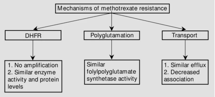 Figure 1 - Summary of mechanisms of methotrexate resistance in cisplatin-selected L1210/