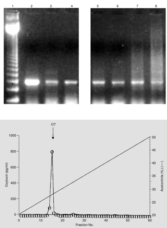 Figure 5 - Reverse-phase HPLC elution profile of oxytocin (OT) immunoreactivity in the dog  a-orta