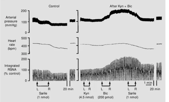 Figure 4 - Example of the ef- ef-fects on arterial pressure, heart rate and integrated renal  sym-pathetic nerve activity (RSNA) evoked by bilateral  microinjec-tions of [Sar 1 ,Ile 8 ]Ang II (Sarile) into the left (L) and right (R)  ros-tral VLM , before 