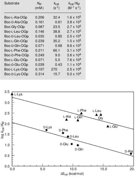 Figure 3 - Correlation betw een the calculated binding energies of the most stable productive complexes of Boc-Xaa-OGp and trypsin and the specificity constants of the hydrolysis reaction (25)