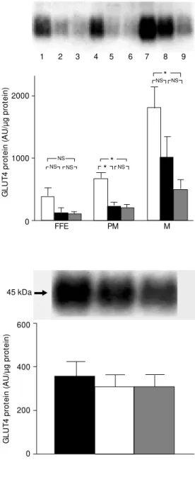 Figure 1. GLUT4 protein content of fat-free extract (FFE), plasma membrane (PM ) and microsome (M ) fractions of w hite adipose  tis-sue from  2-m onth-old (w hite bars), 12-month-old obese (black bars), and 12-m onth-old lean (gray bars) rats