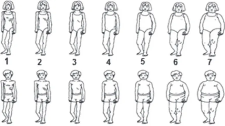 Figure 1  Body Image Silhouette Chart Adapted from (Collins, 1991) 2 .