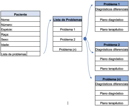 Ilustração 2: Esquema ilustrativo do método da base de dados adaptado de “A Cognitive Model  for the Implementation of Medical Problem Lists” de Fei Song e William Soukoreff (Song e Soukoreff  1994).