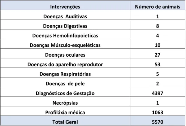 Tabela 2: Número aproximado de intervenções médico veterinárias na “Azores” 