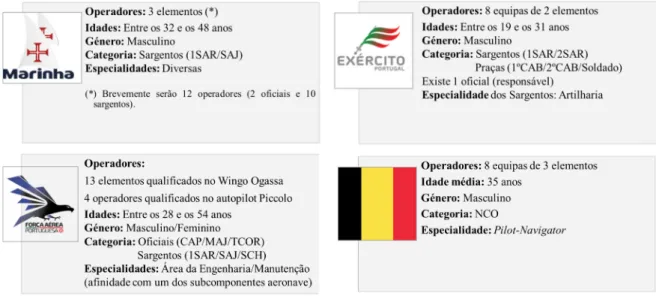 Figura 3 – Caracterização dos operadores de UAS das FFAA portuguesas e FAB. 