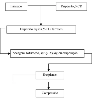Figura 9: Esquema do processo usual de obtenção de comprimidos contendo CDs 