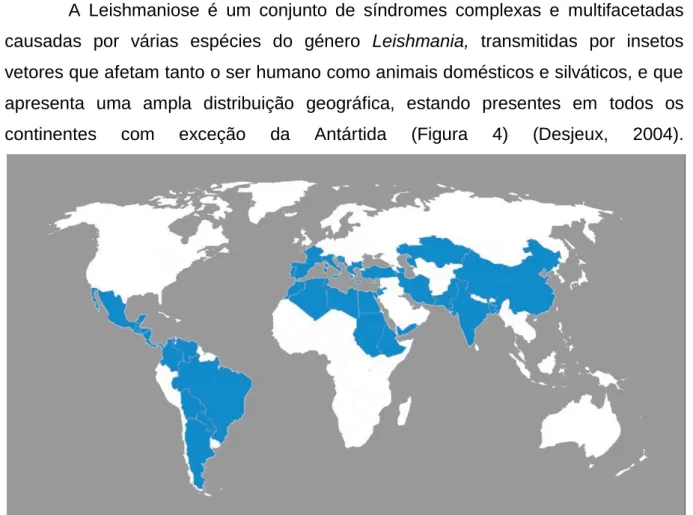 Figura 4. Países com elevado risco de ocorrência da Leishmaniose visceral e cutânea no Mundo (Adaptado de  WHO, 2013)