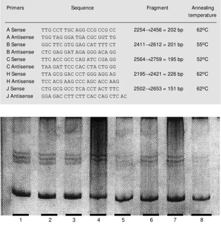 Table 1. Primers used to amplify the exon 2 sequence of the M EN1 gene. The sequence of the primer, the localization and length of the corresponding fragment and the annealing  tempera-ture of each primer are described.