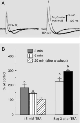 Figure 5. Effect of 1 µM  tetrodo- tetrodo-toxin (TTX) on action potential in a Bcg-3 (100 µg/ml)-pretreated nerve