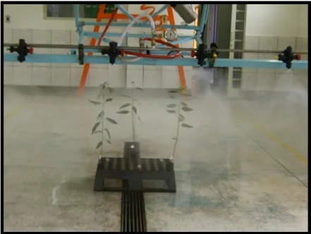 Figura 4. Pulverização das mudas de eucalipto em simulador de pulverizador de barras. 