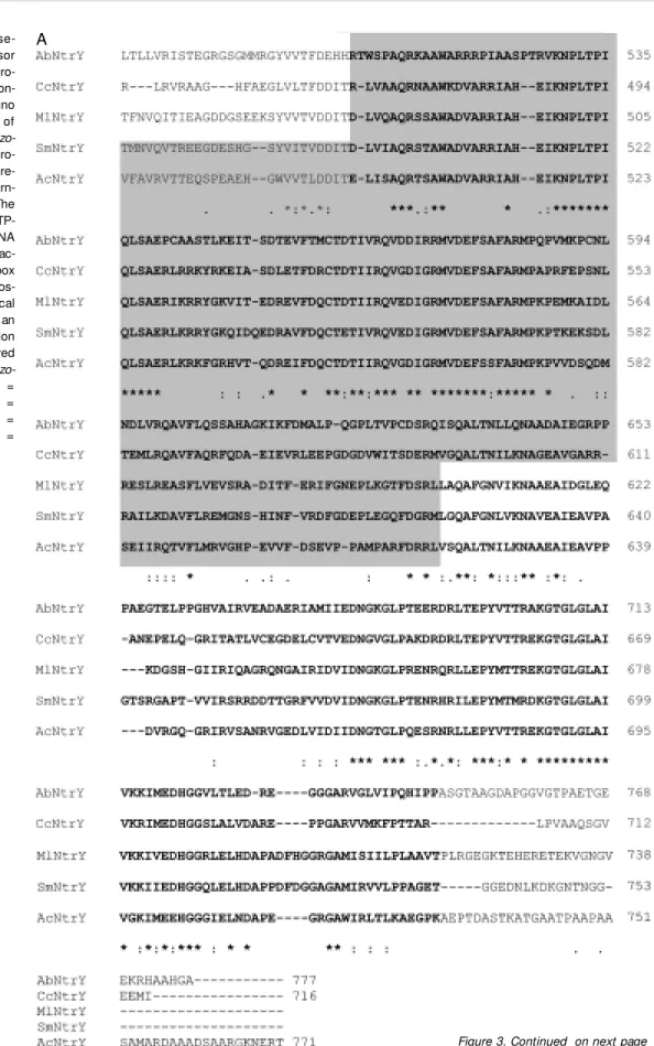 Figure 3. A, Amino acid se- se-quence comparison of sensor domains from different NtrY  pro-teins