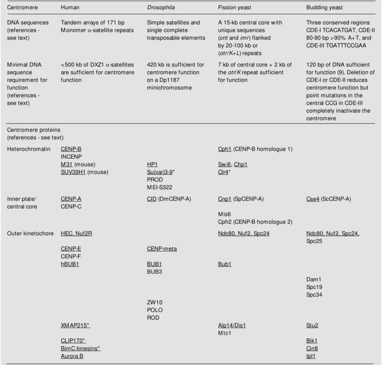 Table 1. A survey of centromere DNA sequences and proteins in humans, Drosophila, fission yeast and budding yeast.