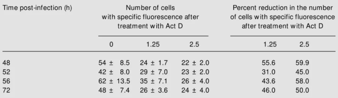 Table 1. Reduction of fluorescent cells upon actinomycin D (Act D) treatment.