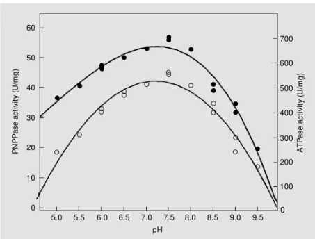 Figure 6. pH sensitivity of the hydrolysis of p-nitrophenyl phosphate (PNPP) and adenosine 5’-triphosphate (ATP) by Na,K-ATPase solubilized w ith C 12 E 8  (1:1, w /w ) and purified on a Sepharose 6B column