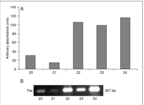 Figure 1. Semiquantitative measurement of the expression of Fas, Fas-ligand (Fas-L) and Bcl-w  in control NOD mice (C10 or C32), treated w ith methimazole (CM 10) or potassium iodide after methimazole (groups M I44D and M I32S), from the 4th to the 10th w 