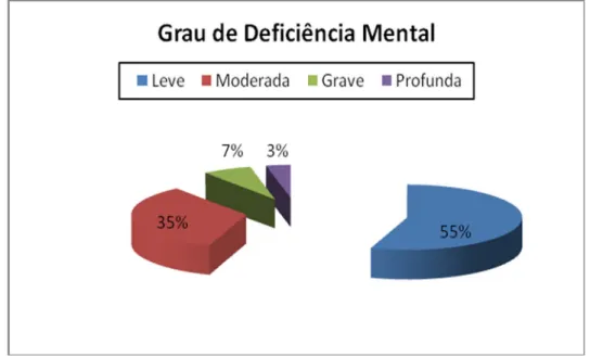 Gráfico 10: distribuição dos inquiridos, segundo o Grau de Deficiência Mental. 
