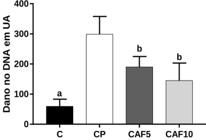 Figura 6. Dano no DNA em unidades arbitrárias para o tratamento com café. C- Controlo; CP- Controlo Positivo; 