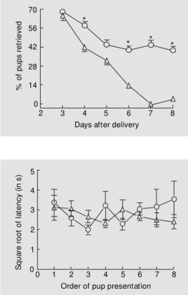 Figure 2. Retrieval behavior of w ell-nourished (25%  casein diet group; circles) and  undernour-ished dam s (8%  casein diet group; triangles)