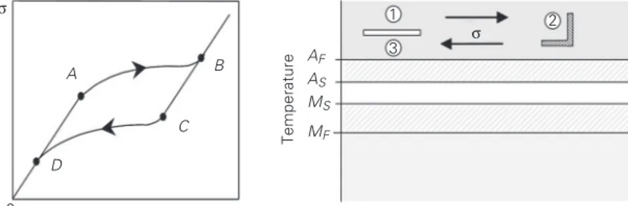 Figure 2. Shape memory effect. For abbreviations, see legend to Figure 1. See text for explanation of process