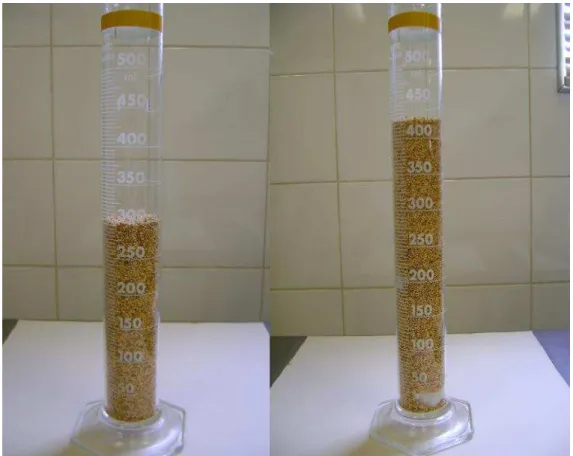 Figura 8 – Determinação do volume da fécula através do método   de deslocamento de sementes