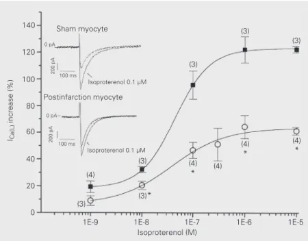 Figure 2. Dose-response curves for isoproterenol on L-type calcium current (I Ca(L) )