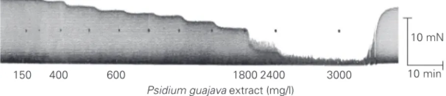 Figure  1  shows  the  negative  inotropic effect of the crude extract of Psidium. The reduction of atrial force was  concentration-dependent and at 3 g/l the extract abolished contractions