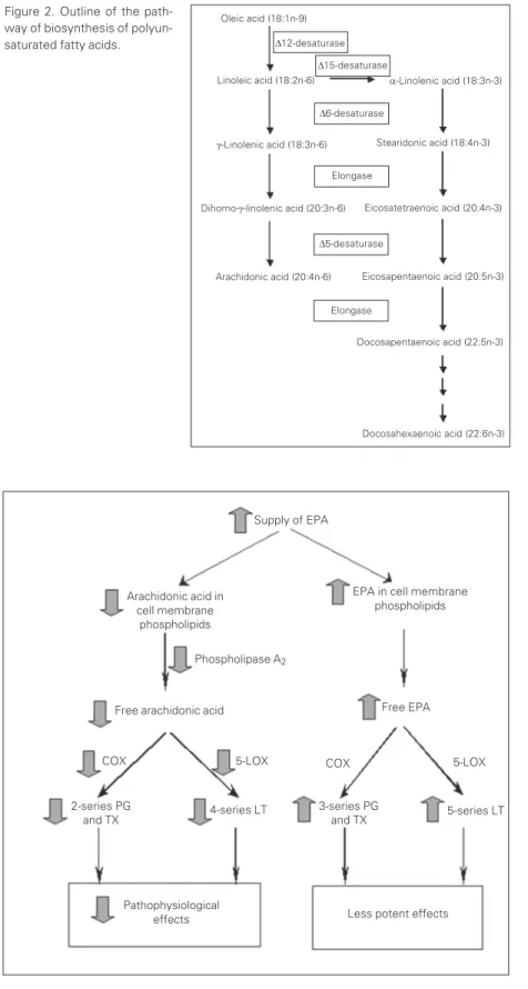 Figure 3. Basis of the anti-inflammatory effects of eicosapentaenoic acid. COX, cyclooxy- cyclooxy-genase; EPA, eicosapentaenoic acid; LOX, lipoxycyclooxy-genase; LT, leukotriene; PG, prostaglandin;