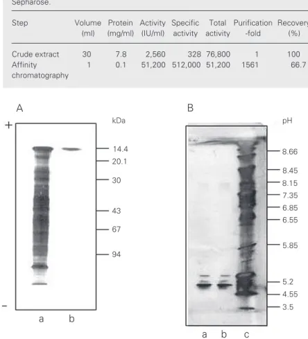 Table 2. Purification of cat liver galectin by affinity chromatography on asialofetuin- asialofetuin-Sepharose.