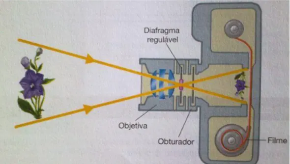Figura 2-6: Funcionamento da câmara analógica. Extraído de Paranhos, 2014  