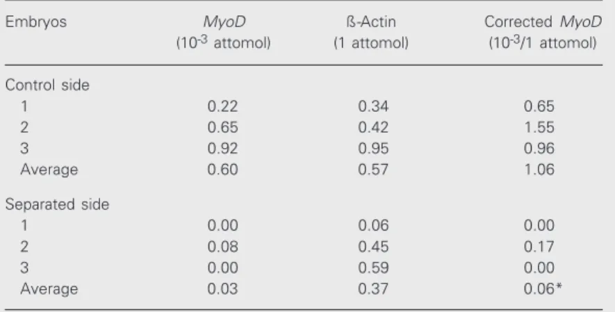 Table 1.     Quantification of MyoD  and ß-actin transcripts in separated and control somites of chicken embryos.