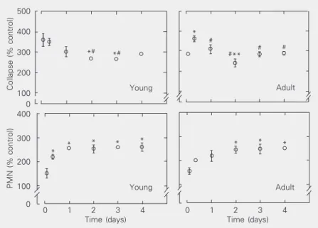 Figure 1. Effect of a cyanobacterial extract on the fractional area of alveolar collapse and the amount of polymorphonuclear (PMN) cells compared to the control group