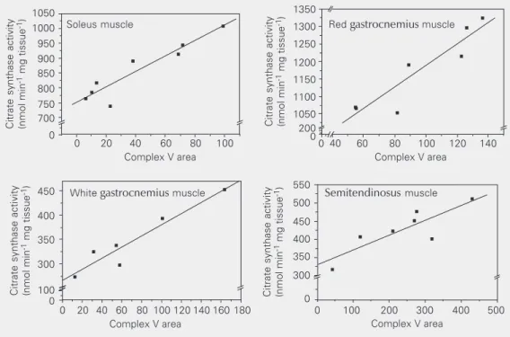 Table 3.     Complex I (NADH dehydrogenase) and IV (cytochrome c oxidase) activities in rat muscles determined by colorimetric enzymatic staining of BN-PAGE gel assays.