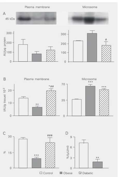 Figure 1. GLUT4 protein in control, obese and insulin-treated diabetic female dogs. The GLUT4 protein was assessed in the plasma membrane (PM) and microsome (M)  subcel-lular fractions of white adipose tissue of control (open columns), obese (filled column