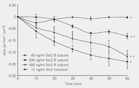 Figure 4. Effect of Stx2 B subunit and Stx2 holotoxin on transepithelial net water flux (∆Jw) in rat colon